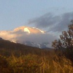 Kilimanjaro – Day 1