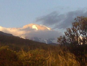 View from Machame