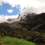 Kili – Day 3 – to Baranco camp (3950m)
