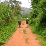 Rwenzoris – Day 3 Nyakalengija (1615m) to Nyabitaba Hut (2651m)