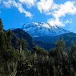 Kili – Day 3 – to Baranco camp (3950m)