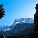 Mt Kilimanjaro – Umbwe route
