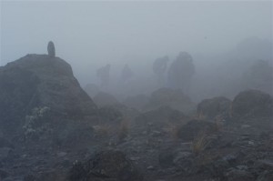 Machame to Shira Machame to Shira