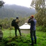 Rwenzoris – Bujuku