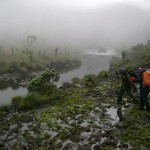 Rwenzoris – Day 6 Bujuku to Elena Hut (4430m)