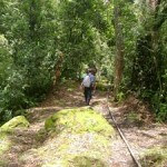 Rwenzoris – Day 9 Guy Yeoman Hut to Nyabitaba (2651m) to Nyakalenjiga (1615m)