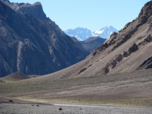 IMG_7891