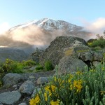 Kilimanjaro – one day to go