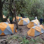 Kilimanjaro – day 2 Kilimanjaro – day 2