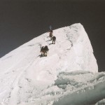 Denali – Summit – 20,320ft (6,194m)